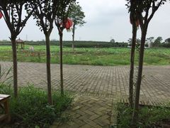 iphone_upload_pic-武汉紫薇都市田园