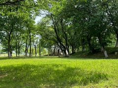 -盘龙城遗址博物院
