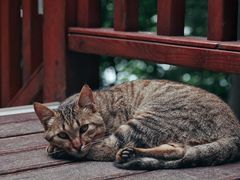 -终南山南五台景区