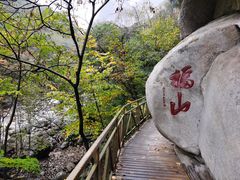 -青峰峡国家森林公园