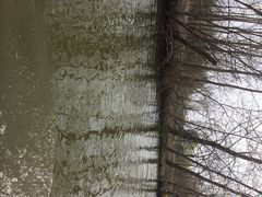 iphone_upload_pic-溱湖国家湿地公园