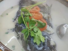 -全乐鱼馆·淳牌有机鱼直营店