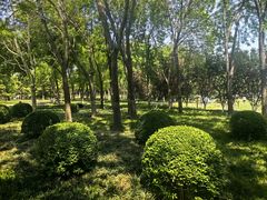 -泰丰公园