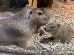 -Zoolung Zoolung动物主题公园(海信广场店)