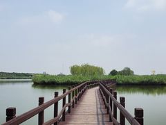 -西青郊野公园