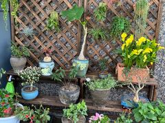 -粤色·老广州茶餐厅(河南商会大厦店)