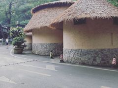 -天怡·鱼工厂(梅溪湖店)