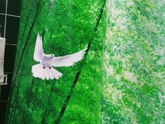 -仪雅阁·泡浴SPA养生馆