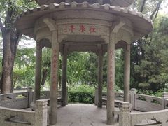 -玲珑塔公园