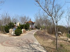 -大港湿地公园