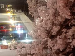 -熊记虾王·小龙虾(东晓南店)