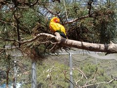 -燕塞湖鸟语林景区