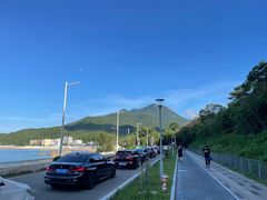 -杨梅坑
