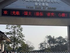 -中国大熊猫保护研究中心雅安碧峰峡基地