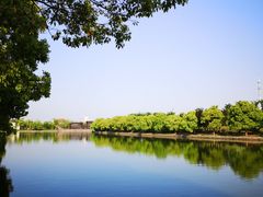 -广富林郊野公园
