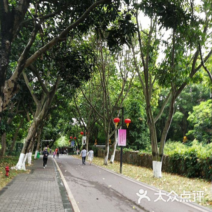 黄旗山城市公园