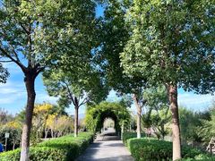 -九善农植有机生活农场
