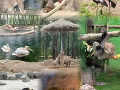 -北京野生动物园