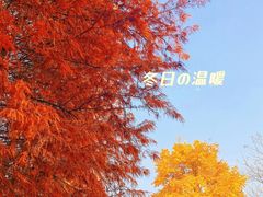 -尚贤河湿地