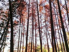 -华南国家植物园-售票处