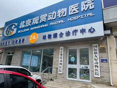 -北京观赏动物医院·24小时大型综合·猫专科·异宠专科