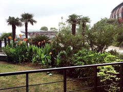 -上海滴水湖皇冠假日酒店