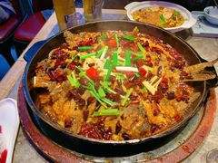 老板恋上鱼-老板恋上鱼(恒隆广场店)