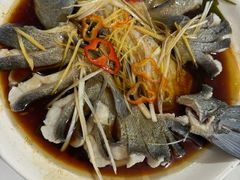 -煲来饱去冷水鱼