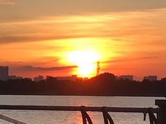 -人民防洪胜利纪念塔