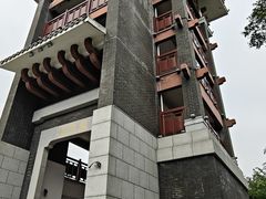 -王借岗森林公园
