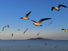 -幸福公园-海滨北路停车场