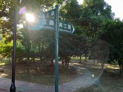 -南京师范大学仙林校区-内部地面停车场