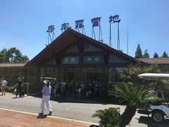 -崇明东平国家森林公园烧烤房车露营地