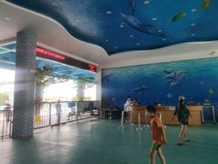 -黄金海岸水上乐园