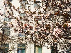-山东大学(洪家楼校区)