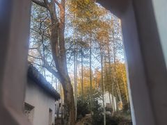 -木子山庄·安徽省老字号·中国炖锅宴