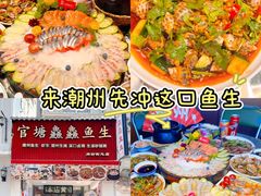 -官塘鱻鱻鱼生·潮汕生腌·砂锅粥(西马路总店)