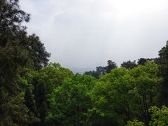 -南山植物园