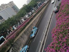 -广州都市观光巴士(粤陶巴)