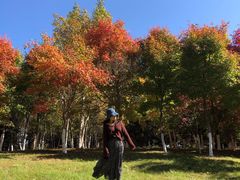 -长春世界雕塑园冰雪艺术天地