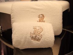毛巾-上海浦东丽思卡尔顿酒店