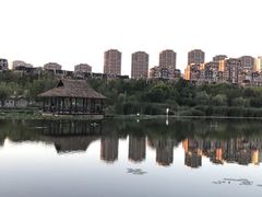 -前关湿地公园
