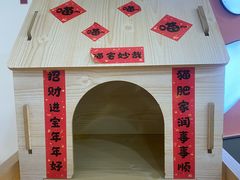 -喵园·猫主题咖啡厅·撸猫·猫咖(国贸店)