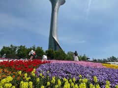 -沈阳植物园