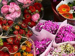 -循礼门鲜花花市(武汉循礼门店)