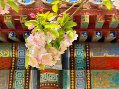 -海棠花溪(元大都城垣遗址公园)