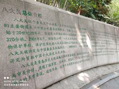-八大关景区