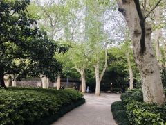-静安公园(静安寺街道)