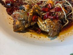 -雀蓝川菜(奥体广场店)