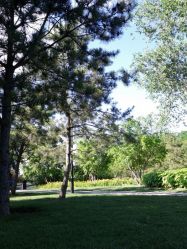 点击看大图 android_upload_pic-大望京儿童游乐场